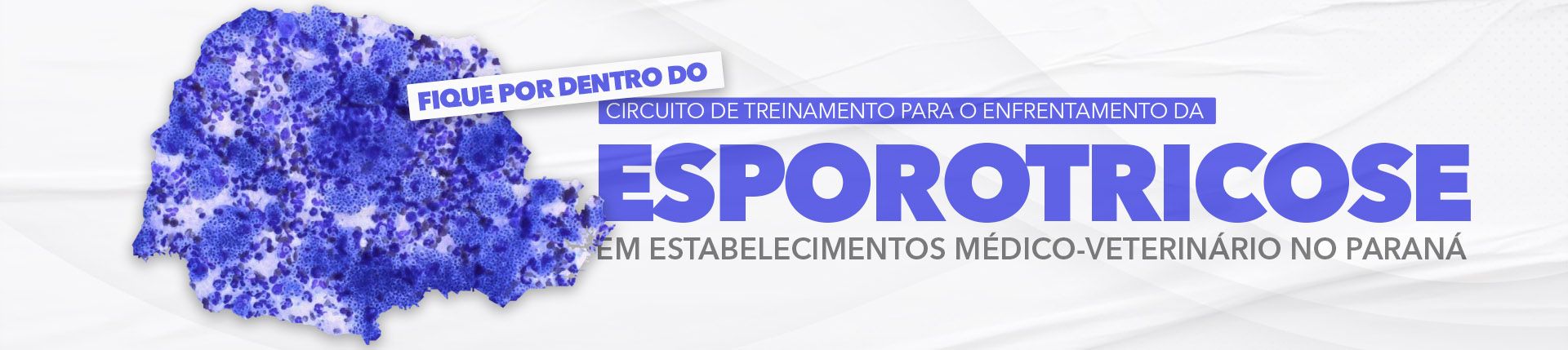 Fique por dentro do Circuito de Treinamento para a Esporotricose