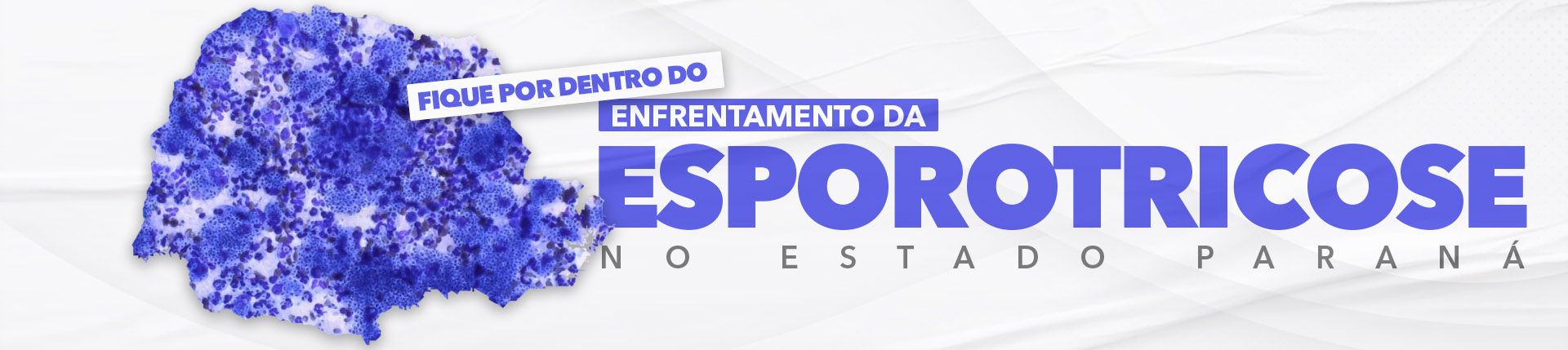 Fique por dentro do Circuito de Treinamento para a Esporotricose