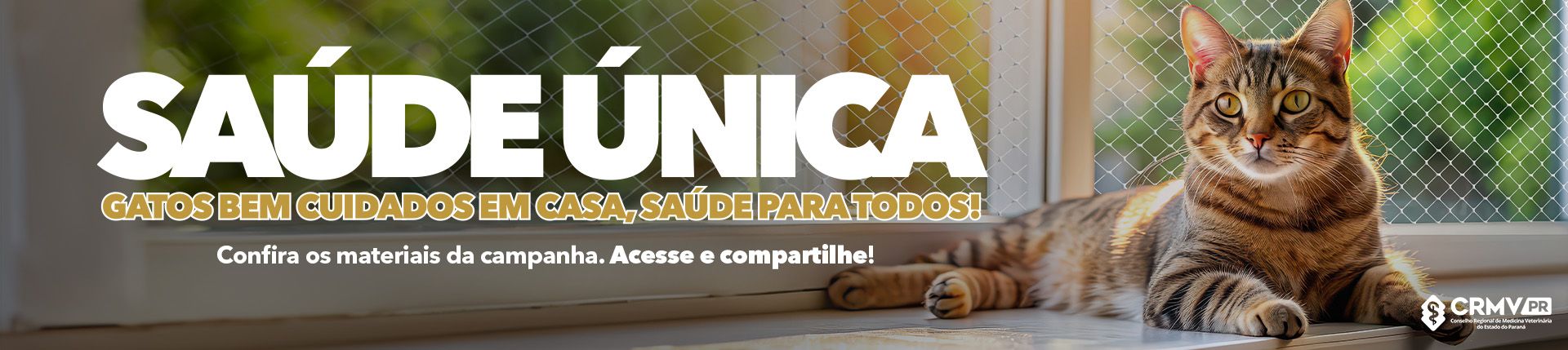 Mostrar que os materiais da campanha 