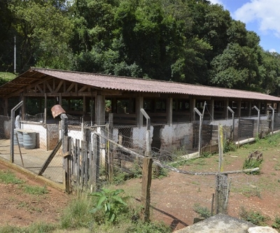 CRMV-PR, Adapar e Vigilância interditam estabelecimento em Santa Felicidade
