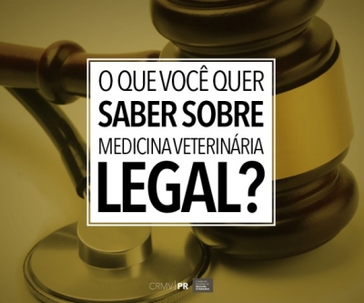 O que você quer saber sobre Medicina Veterinária Legal?