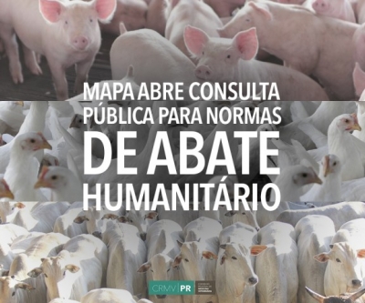 MAPA abre para consulta pública regulamento técnico de abate humanitário