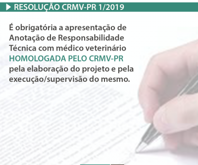 CRMV-PR normatiza mutirões e programas de castração no Paraná