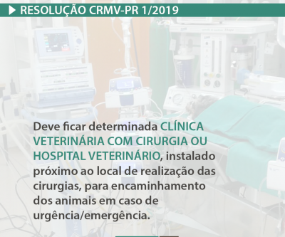 CRMV-PR normatiza mutirões e programas de castração no Paraná