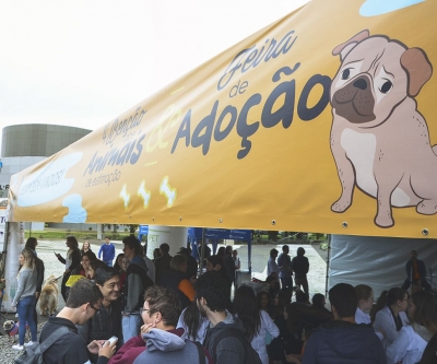 Feira de adoção de cães reabilitados marca Dia Mundial dos Animais em Curitiba