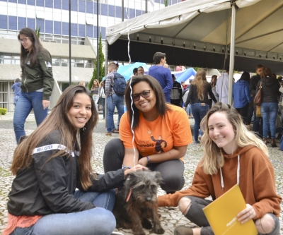 Feira de adoção de cães reabilitados marca Dia Mundial dos Animais em Curitiba