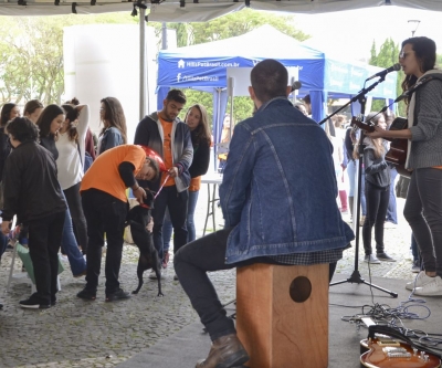 Feira de adoção de cães reabilitados marca Dia Mundial dos Animais em Curitiba