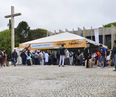 Feira de adoção de cães reabilitados marca Dia Mundial dos Animais em Curitiba