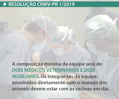 CRMV-PR normatiza mutirões e programas de castração no Paraná