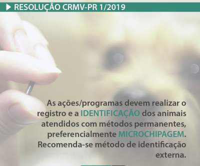 CRMV-PR normatiza mutirões e programas de castração no Paraná