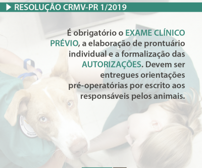 CRMV-PR normatiza mutirões e programas de castração no Paraná