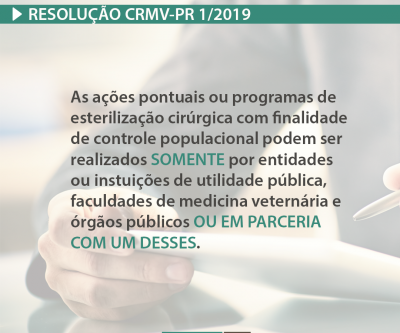 CRMV-PR normatiza mutirões e programas de castração no Paraná