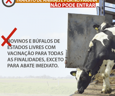 Instrução Normativa do MAPA altera regras de trânsito animal no Paraná