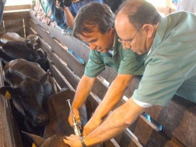 Foto: Agência Estadual de Notícias
