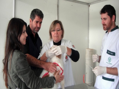 Uma das ações será a microchipagem de animais - Divulgação