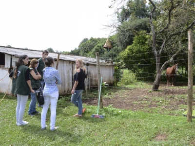 Fiscalização conjunta: CRMV-PR e Rede de Defesa e Proteção Animal