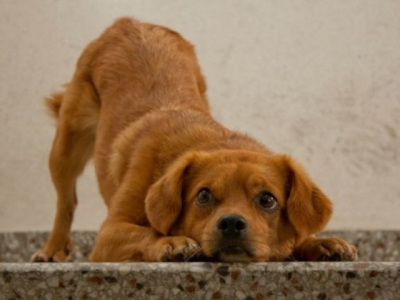Foto: Gazeta do Povo