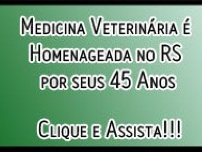 Clique no link disponibilizado no texto e veja o vídeo.