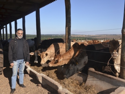 José Jorge Abrahão, conselheiro do CRMV-PR e coordenador técnico do Instituto Agronômico do Paraná