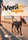 Campanha Verão Seguro-img